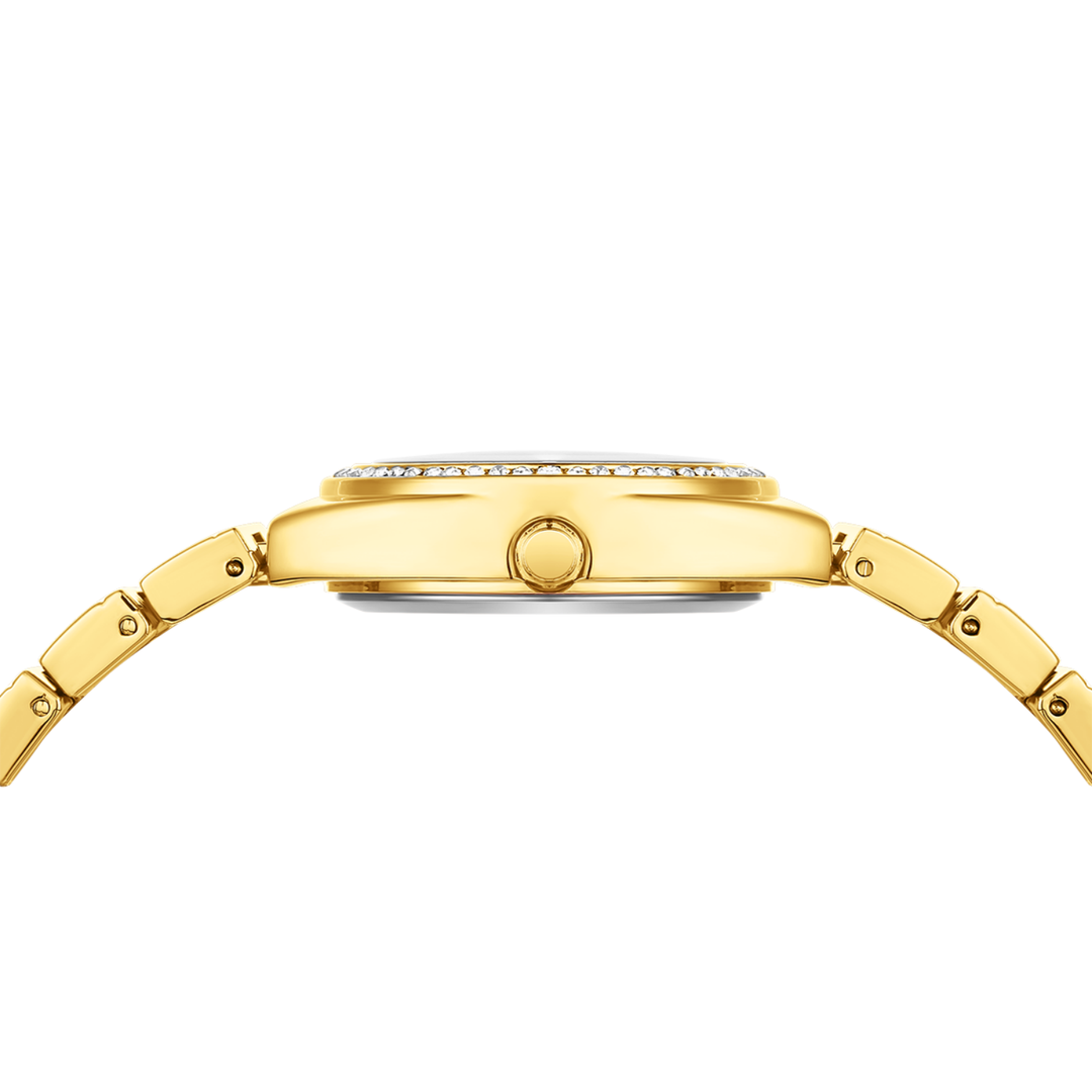 Black Dial Gold Watch — Egyptian Stone Edition