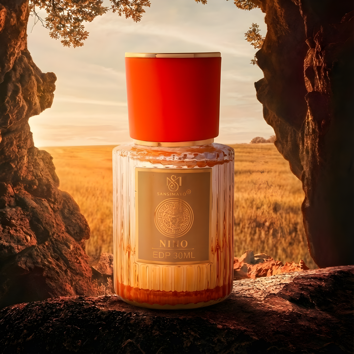 Nino  Woody Base Perfume for Women - Orange Edition