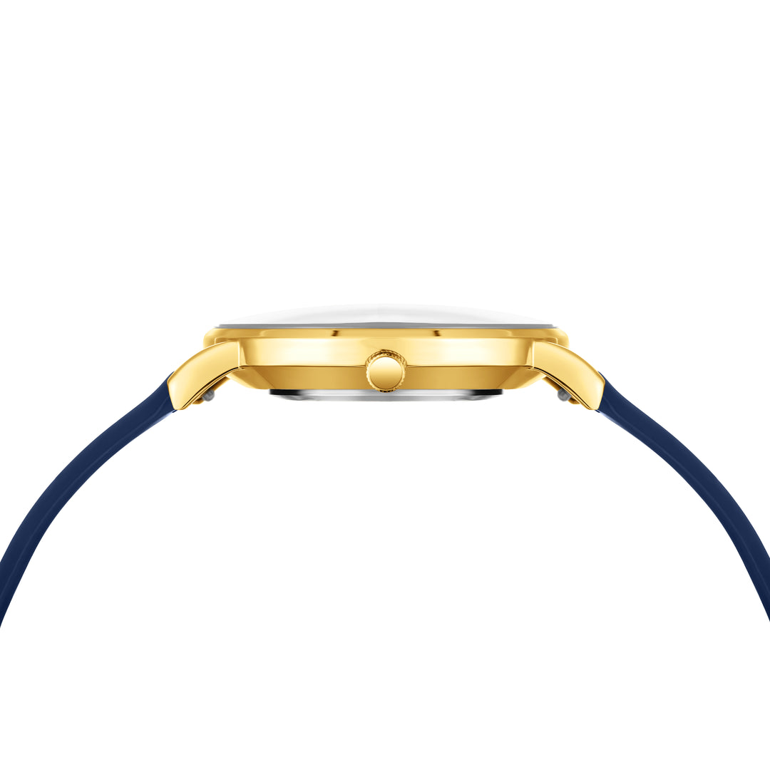 Royal Blue Magnetic Lock Analog