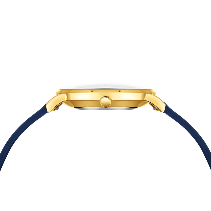 Royal Blue Magnetic Lock Analog