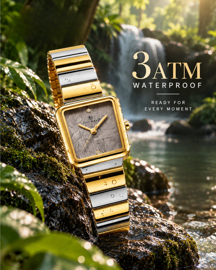 Two-Tone silver Gold (Dark Grey Dial)